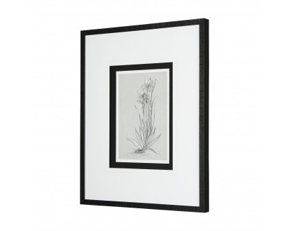 Mercana Botanical Sketches IV - Gray/Black, Medium