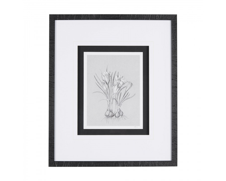 Mercana Botanical Sketches V - Gray/Black, Medium