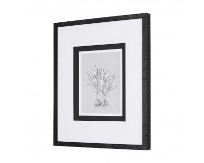 Mercana Botanical Sketches V - Gray/Black, Medium