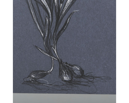 Mercana Botanical Sketches III - Blue, Medium