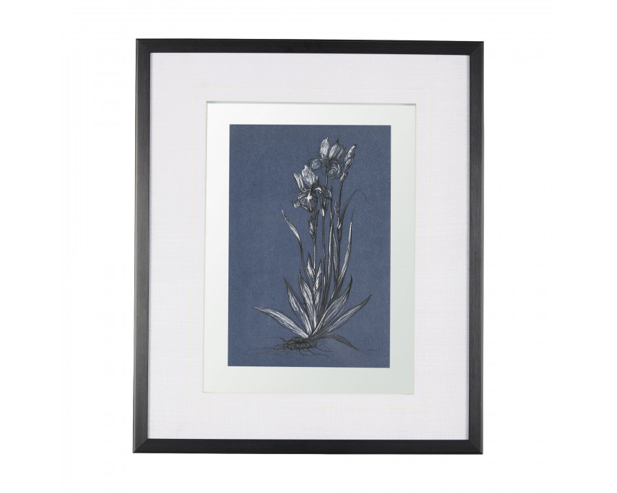 Mercana Botanical Sketches IV - Blue, Medium