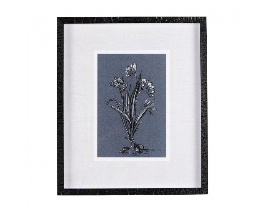 Mercana Botanical Sketches III - Blue/Black, Medium