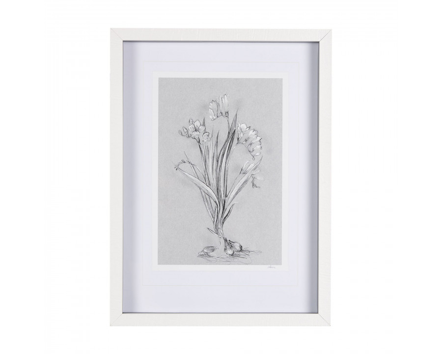 Mercana Botanical Sketches III - Gray, Small