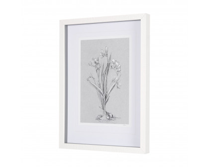 Mercana Botanical Sketches III - Gray, Small