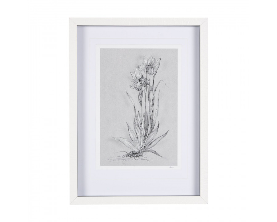 Mercana Botanical Sketches IV - Gray, Small