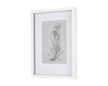 Mercana Botanical Sketches IV - Gray, Small