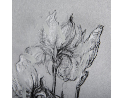 Mercana Botanical Sketches IV - Gray, Small