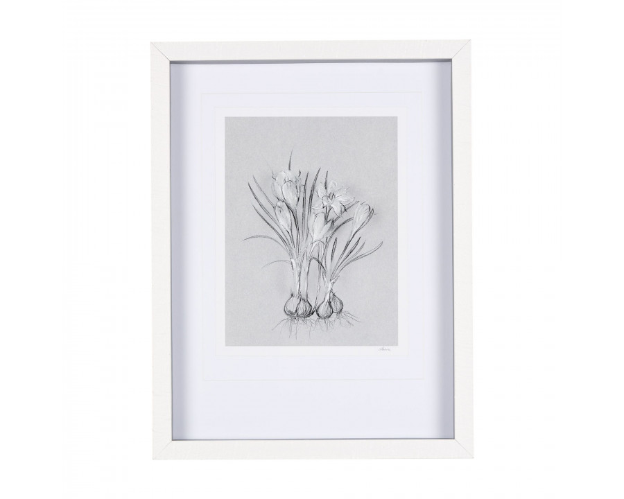 Mercana Botanical Sketches V - Gray, Small