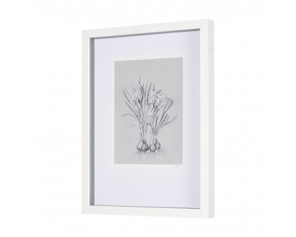 Mercana Botanical Sketches V - Gray, Small