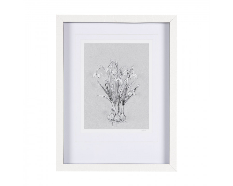 Mercana Botanical Sketches VI - Gray, Small