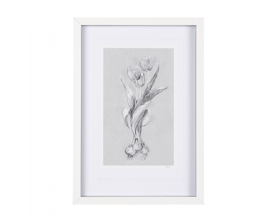 Mercana Botanical Sketches I - Gray, Small