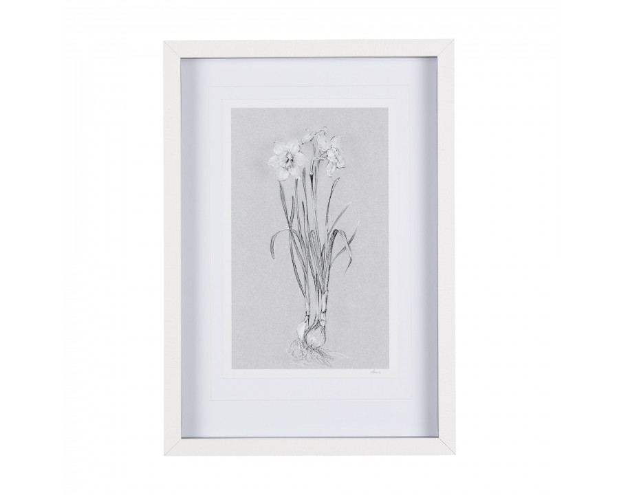 Mercana Botanical Sketches II - Gray, Small