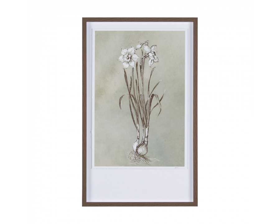 Mercana Botanical Sketch II - Light Green, Large