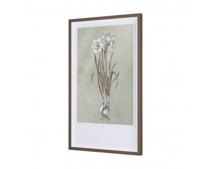 Mercana Botanical Sketch II - Light Green, Large