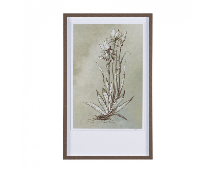 Mercana Botanical Sketch IV - Light Green, Large