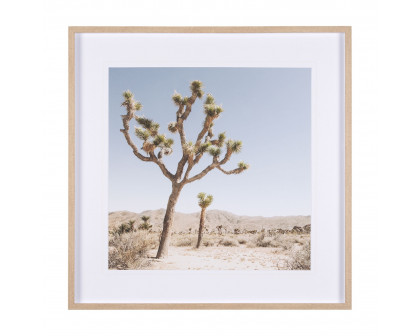 Mercana - Joshua Tree