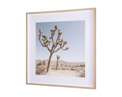 Mercana Joshua Tree 1