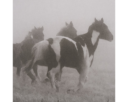 Mercana - Painted Horses on the Run