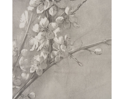 Mercana Cherry Blossom Sketch I