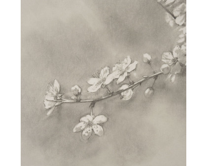 Mercana Cherry Blossom Sketch II