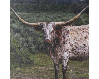 Mercana Longhorn 1