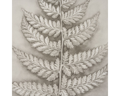 Mercana Fern Study II (Davallia Fejeensis) – 15513