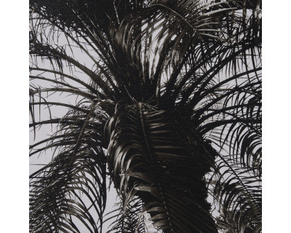 Mercana Palm Tree Sepia II