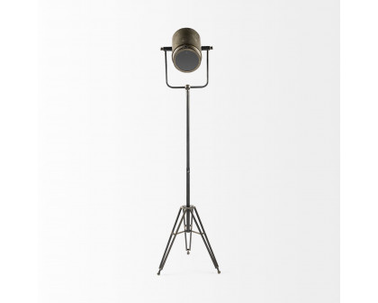 Mercana Debdou Metal Adjustable Cinema-Style Floor Lamp - Gold