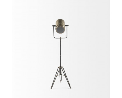 Mercana Debdou Metal Adjustable Cinema-Style Floor Lamp - Gold