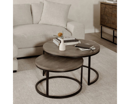 Moe's Drey Round Nesting Coffee Tables Set of 2 - Gray