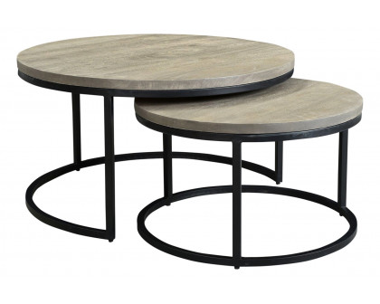 Moe's Drey Round Nesting Coffee Tables Set of 2 - Gray