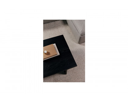 Moe's - Rua Modern Coffee Table in Black