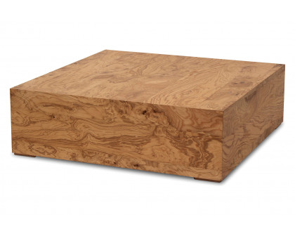 Moe's Nash Coffee Table - Honey Brown Burl