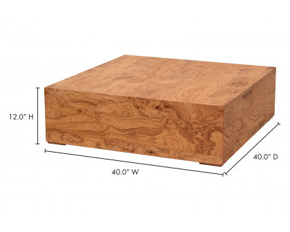 Moe's Nash Coffee Table - Honey Brown Burl