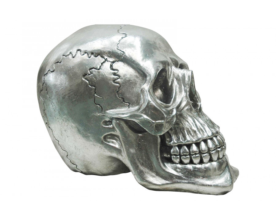 Moe's - Yorick Skull Gun Metal in Gray