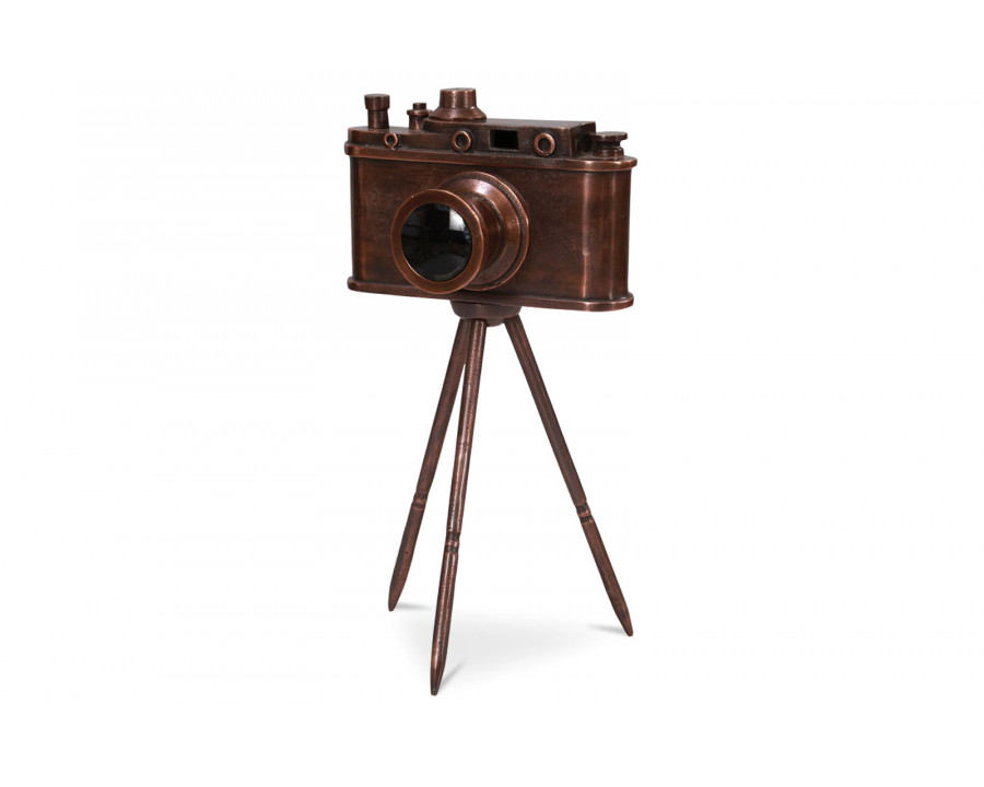 Moe's - Shutterbug Tabletop Decor in Brown