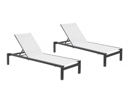 Moe's - Pascoe Modern Outdoor Lounge Chair Set of 2