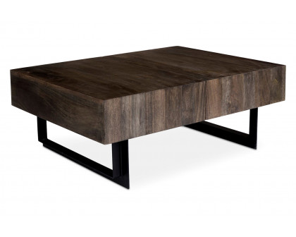 Moe's - Tiburon Storage Coffee Table in Brown