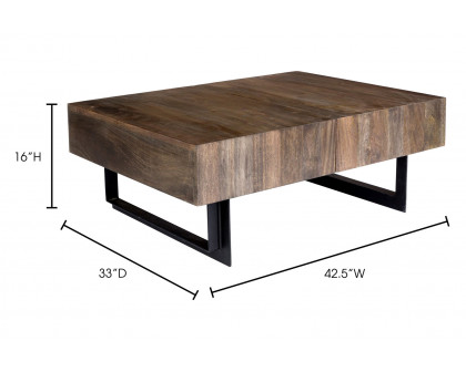 Moe's - Tiburon Storage Coffee Table in Brown