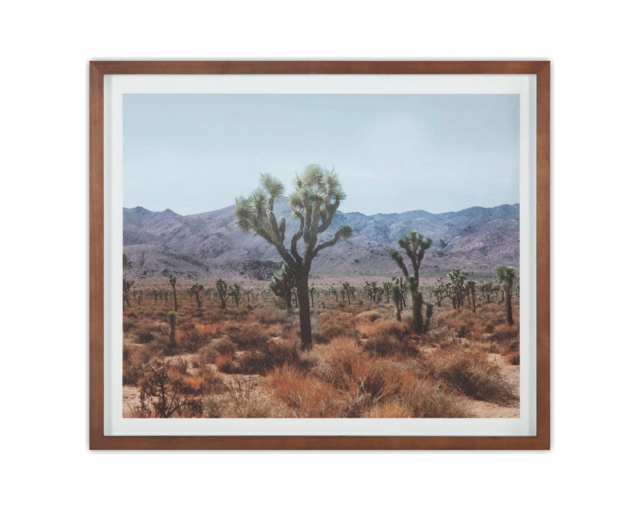 Moe's Desert Land Framed Print