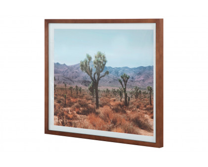 Moe's Desert Land Framed Print