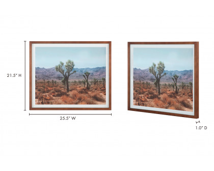 Moe's Desert Land Framed Print