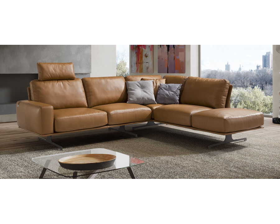 Newtrend - Nuvolari Sectional