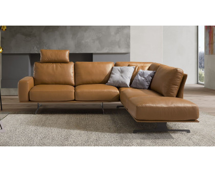 Newtrend - Nuvolari Sectional