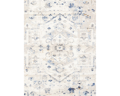 Pasargad Efes Collection Power Loom Polypropylene/Polyester Area Rug - L. Gray/L. Blue, 114" x 162" (pd-169b 10x14)