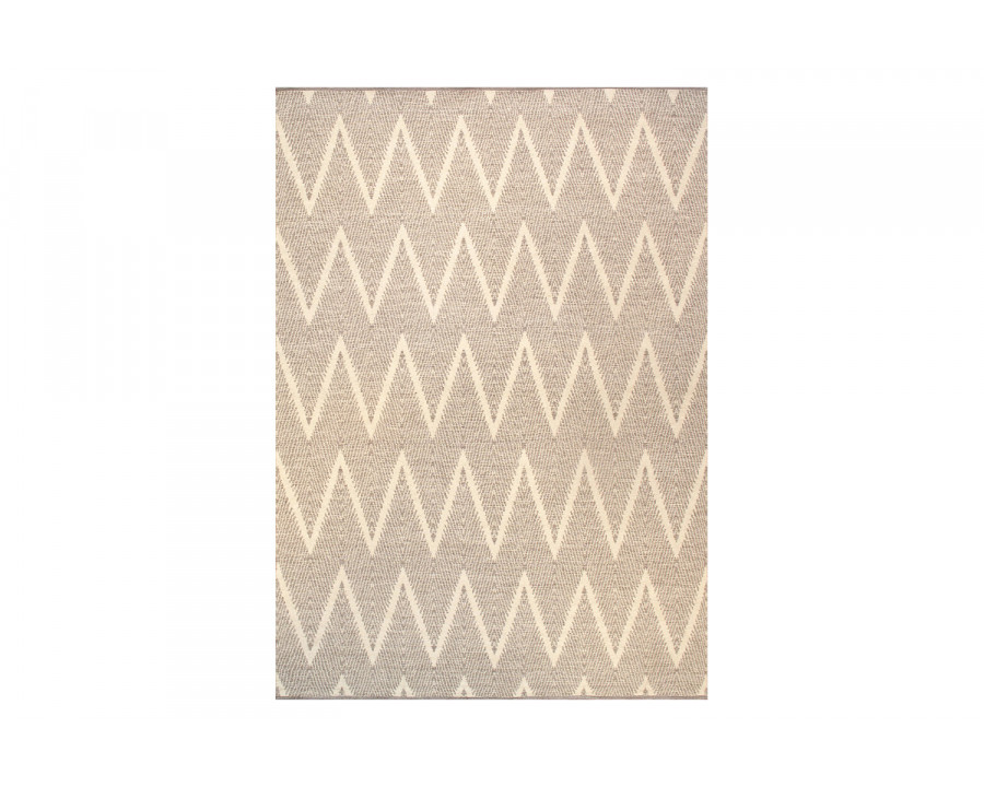 Pasargad Simplicity Collection Hand-Woven Cotton Area Rug (PLW-03 4X6) - 48'' x 72''