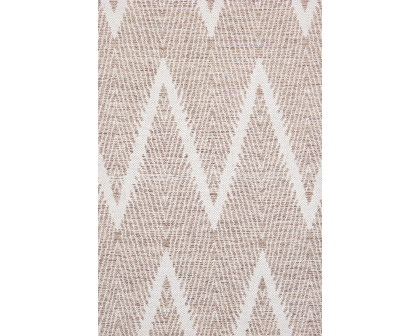 Pasargad Simplicity Collection Hand-Woven Cotton Area Rug (PLW-04 9X12) - 108'' x 144''