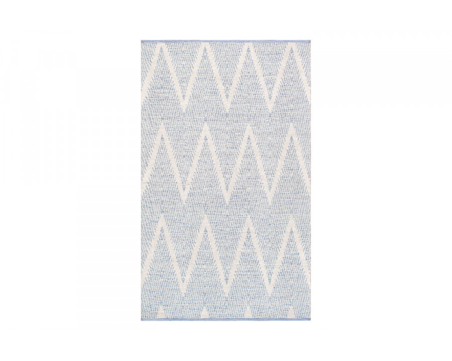 Pasargad Simplicity Collection Hand-Woven Cotton Area Rug (PLW-05 4X6) - 48'' x 72''