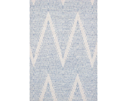 Pasargad Simplicity Collection Hand-Woven Cotton Area Rug (PLW-05 4X6) - 48'' x 72''