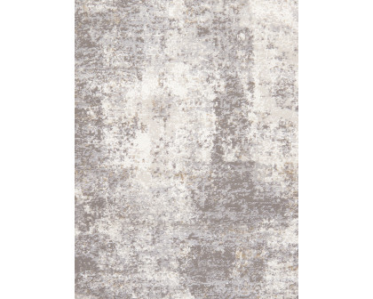 Pasargad Stella Collection Power-Loomed Polypropylene/Polyester Area Rug - L. Gray, 36" x 60" (pvha-44 3x5ovl)